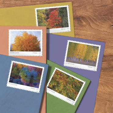 2024 Autumn Colors Stamps Forever First Class Postage Stamps